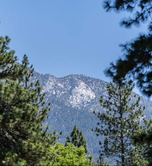 Buckhorn Retreat and Conference Center 5