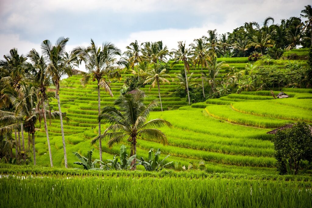 Bali Goddess Getaways 7
