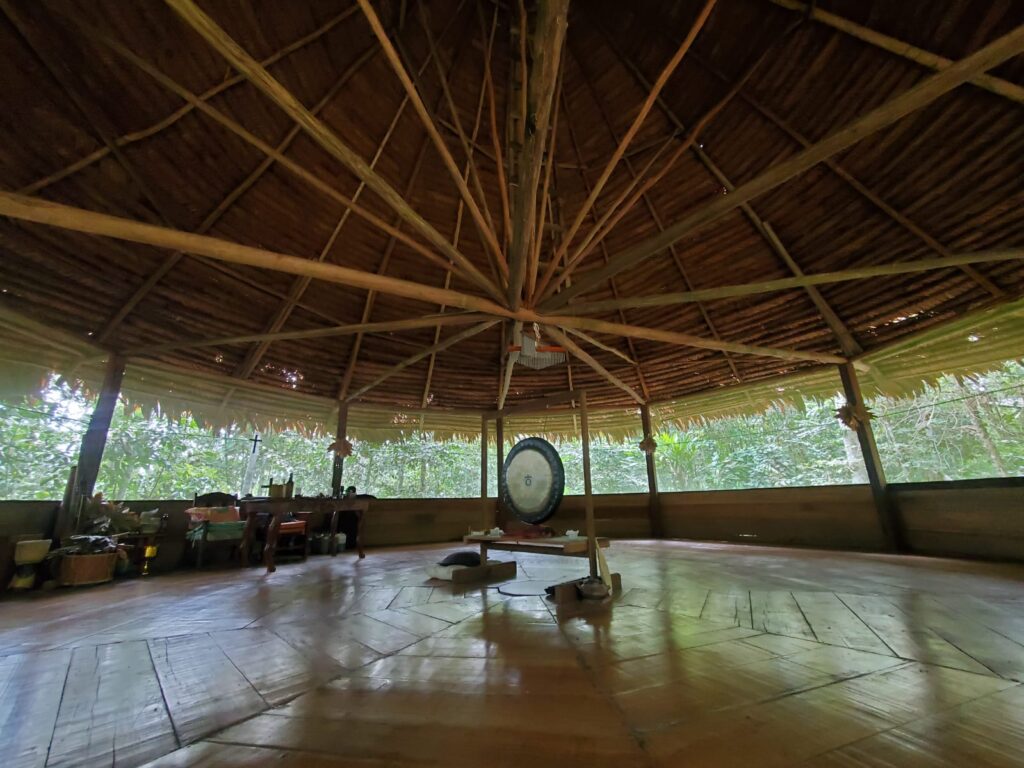 Maya Medicina 6