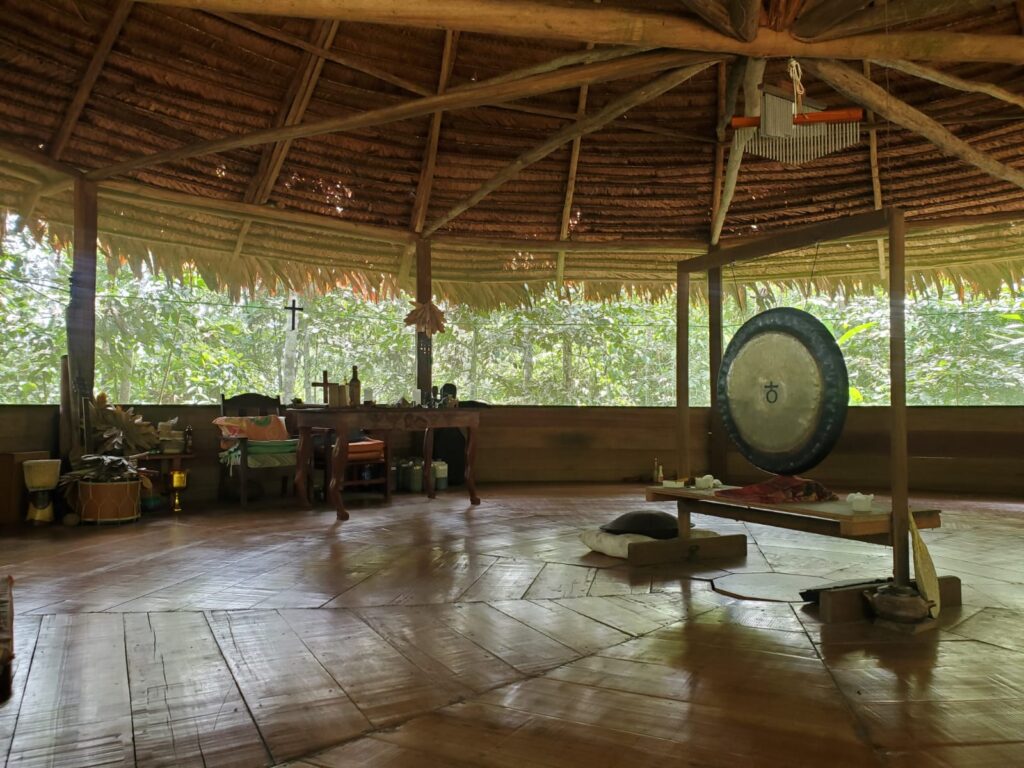 Maya Medicina 7