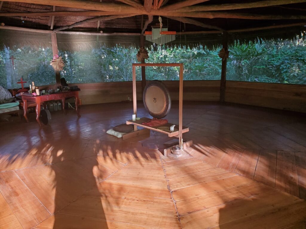 Maya Medicina 8