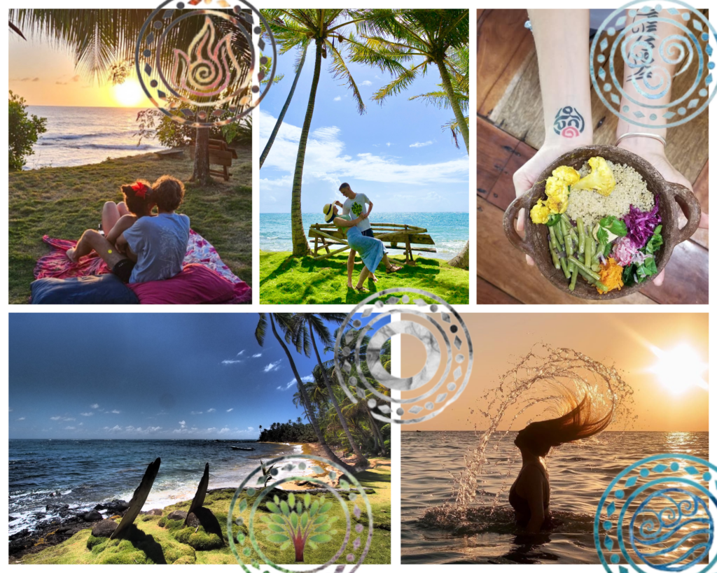 The five elements retreat 2