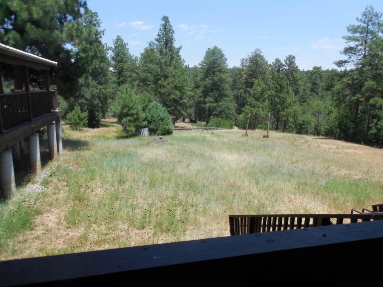Rain Tree - NM Center for Meditative Inquiry and Retreat 7