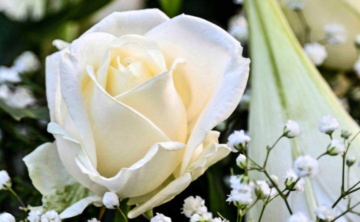 White Rose Retreats 3