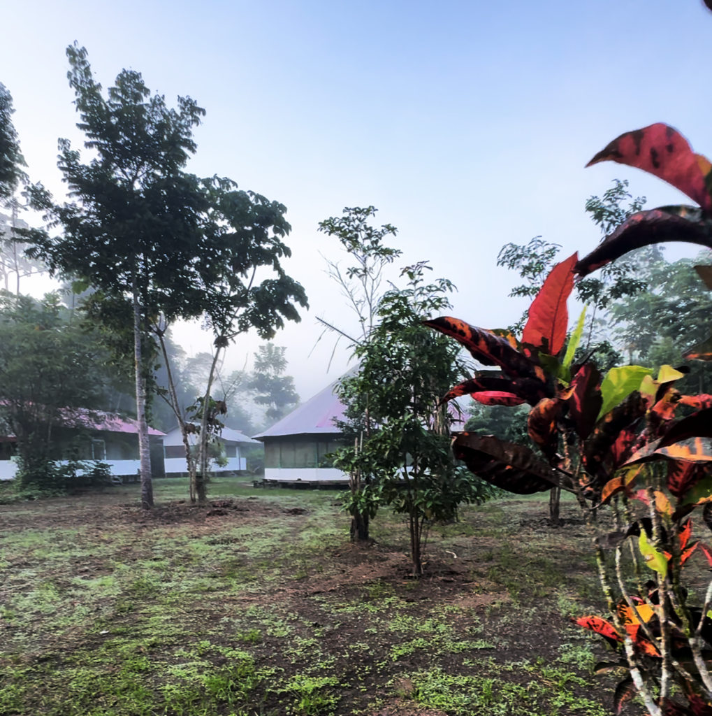 Soi Rawa Ayahuasca Retreat & Healing Center 5