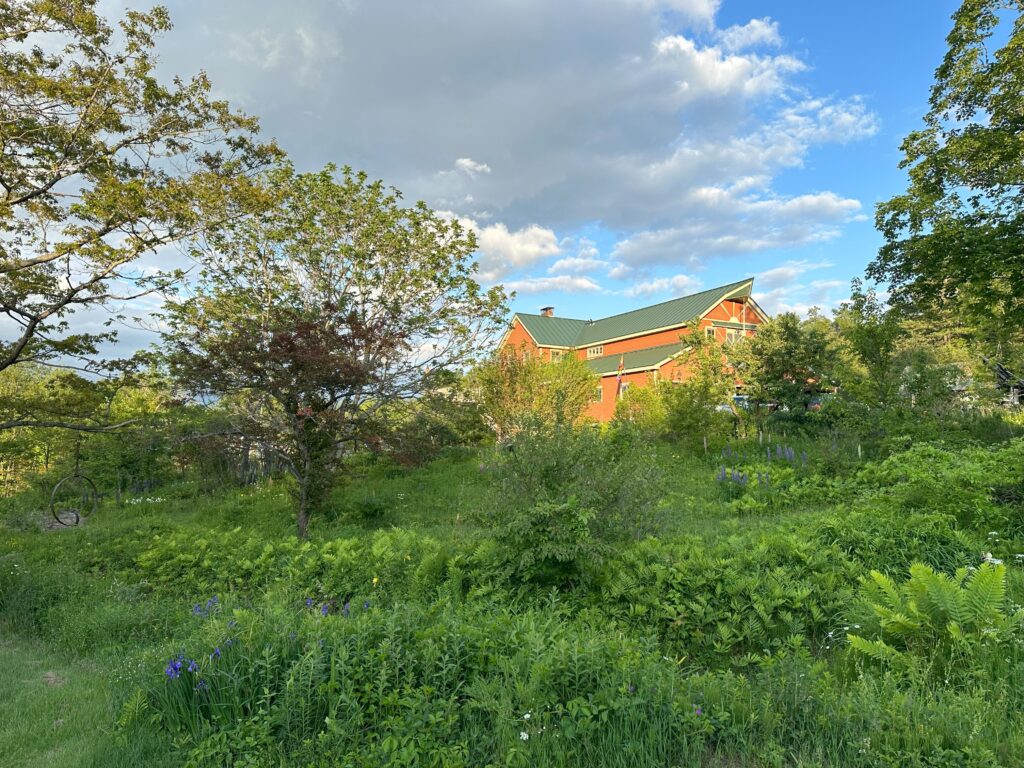 The Hummingbird Center NH 2