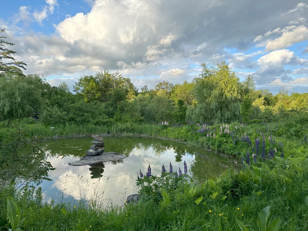 The Hummingbird Center NH 4