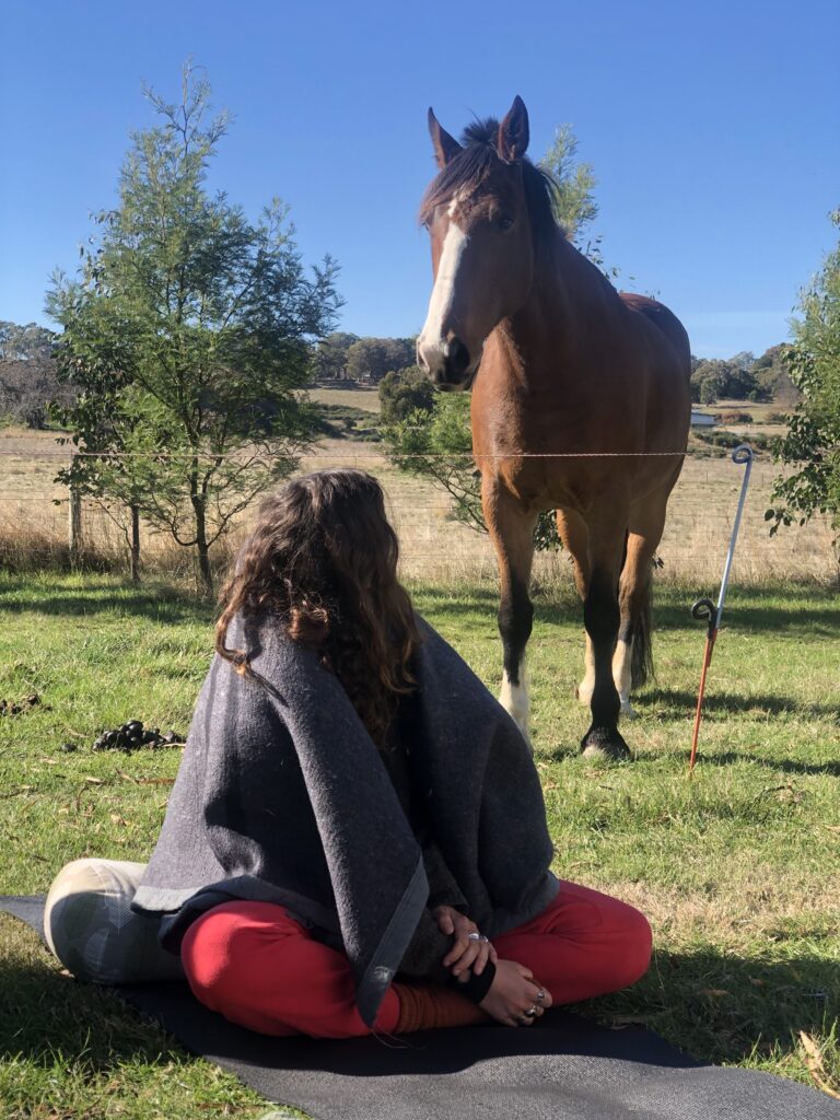 Heart of the Horse 4