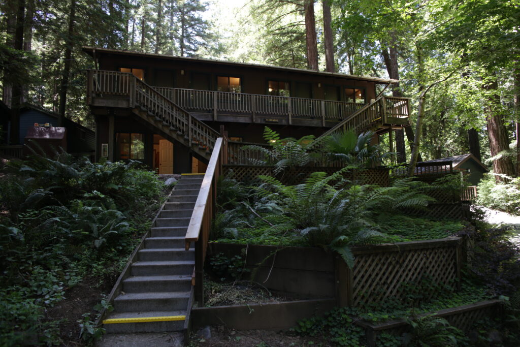 Alliance Redwoods Conference Grounds 2