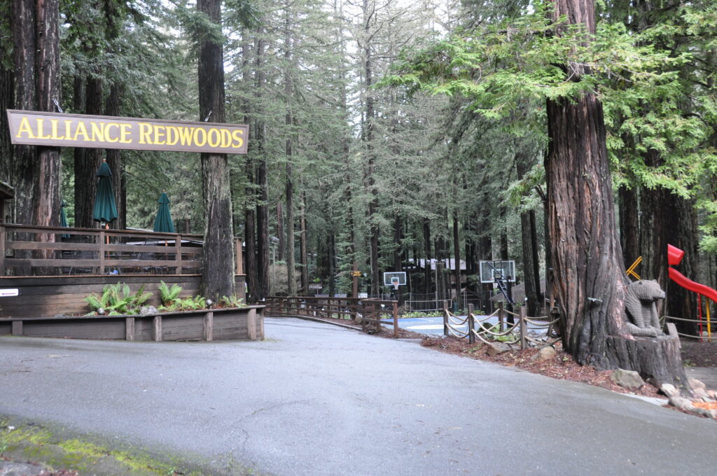 Alliance Redwoods Conference Grounds 7