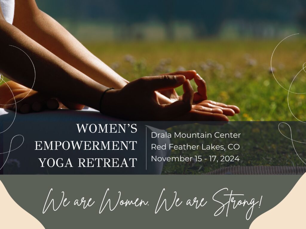 Yogi Colorado