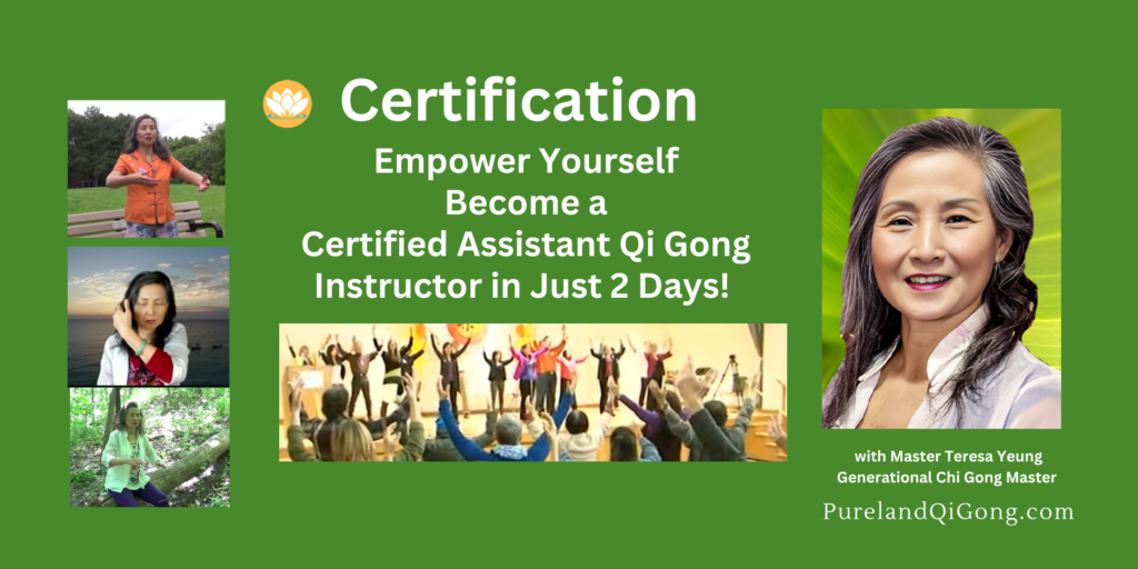 Pureland International Qi Gong