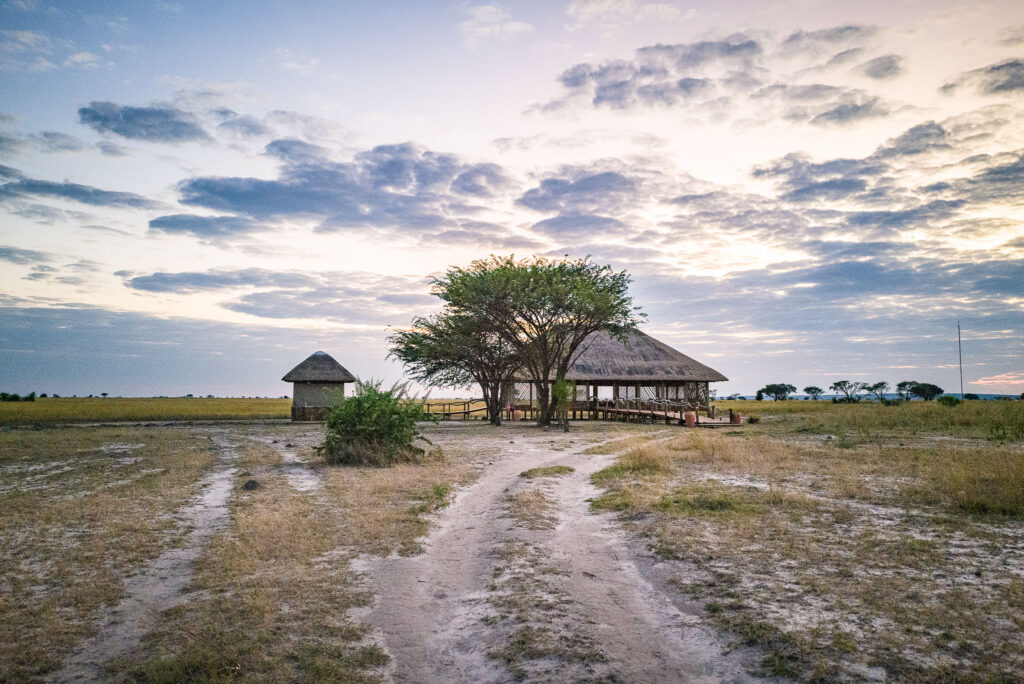 Munga Plains 2