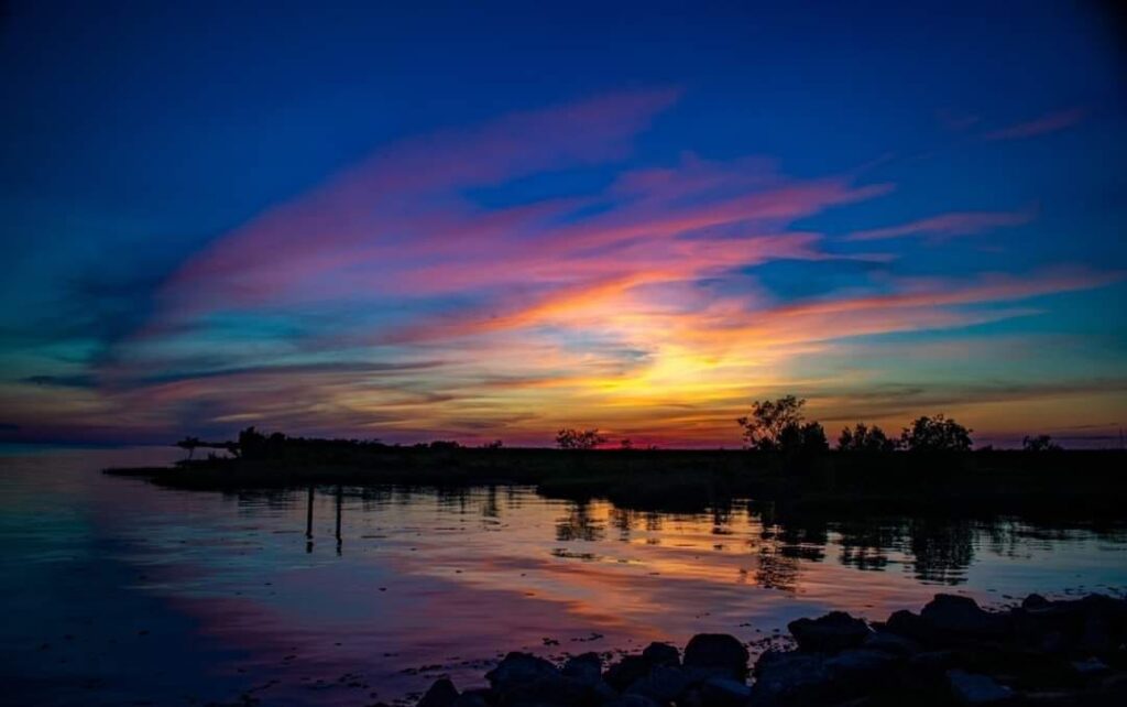 Moonshadow Farms 6