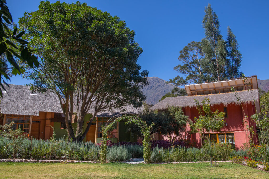 Árbol de la Vida - Integrative Wellness & SPA 2