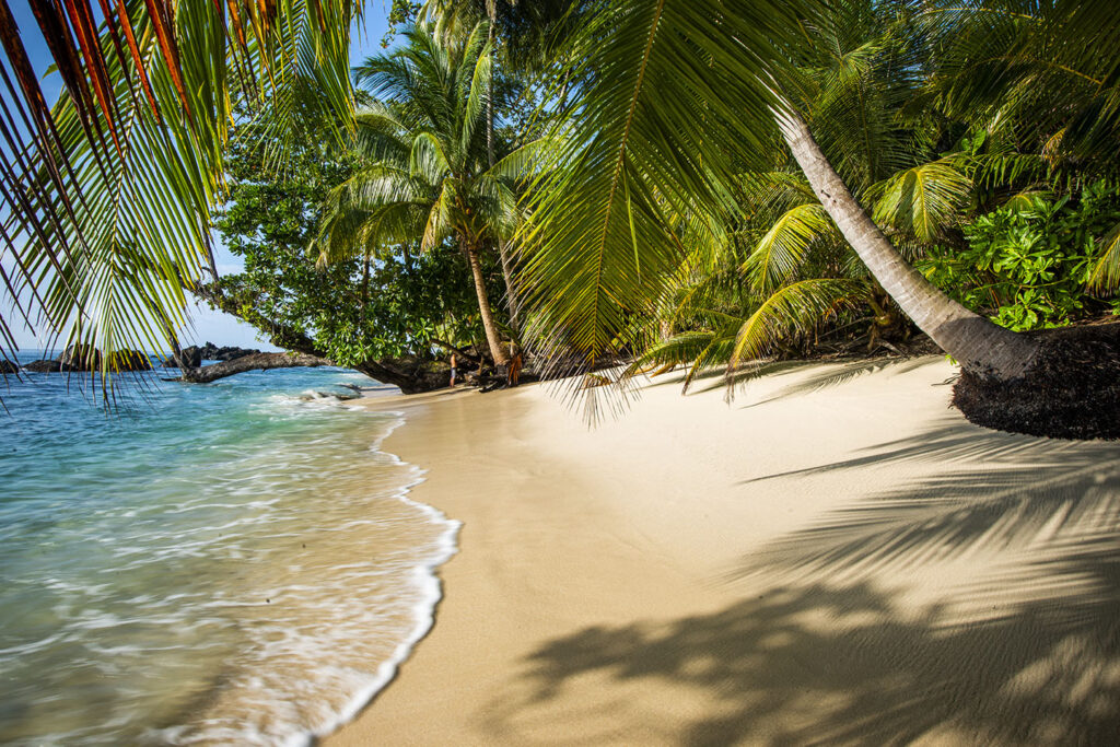 Pinang Island Tropical Paradise 2