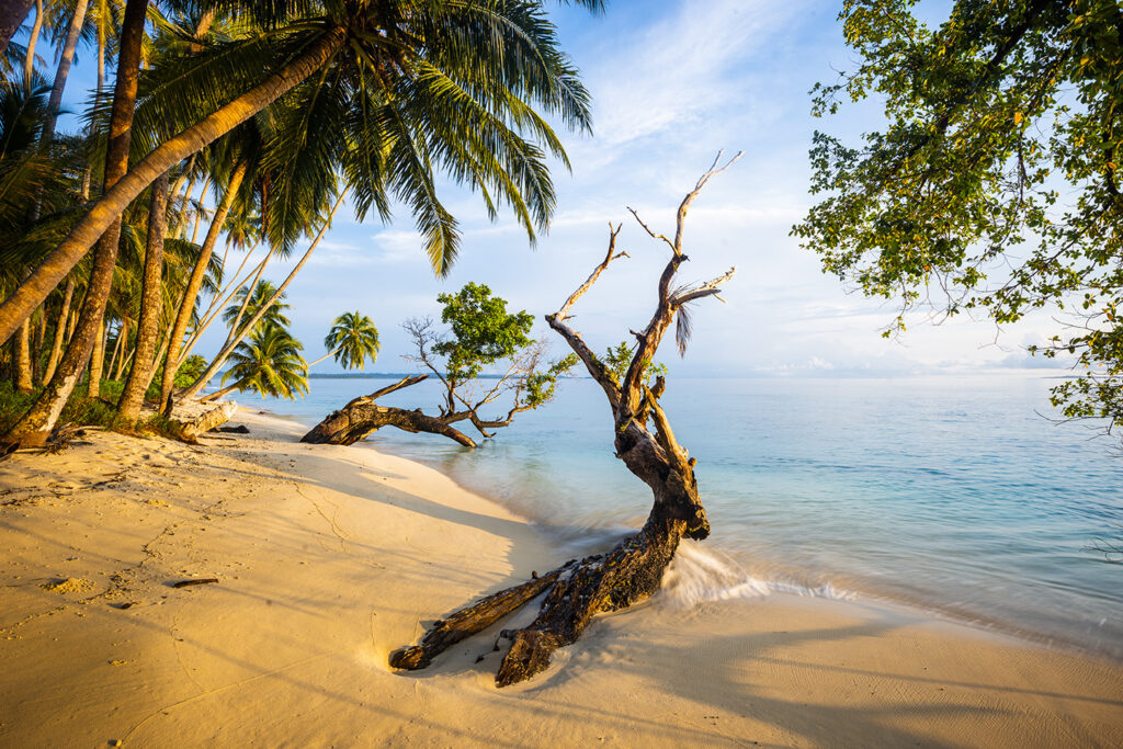 Pinang Island Tropical Paradise 3