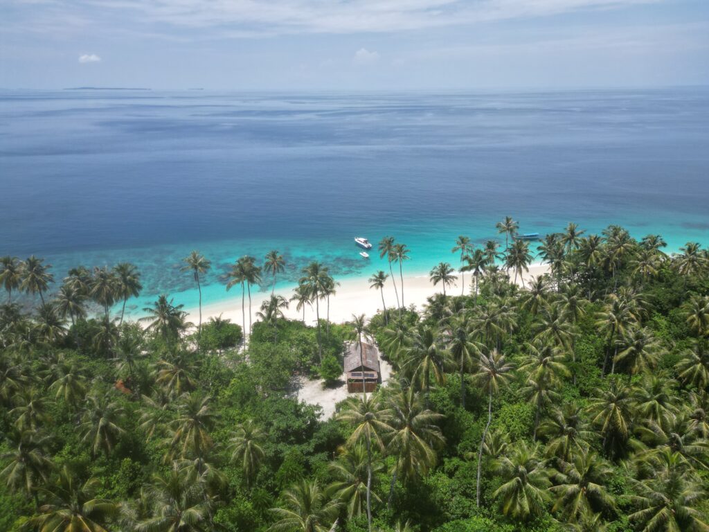 Pinang Island Tropical Paradise 4