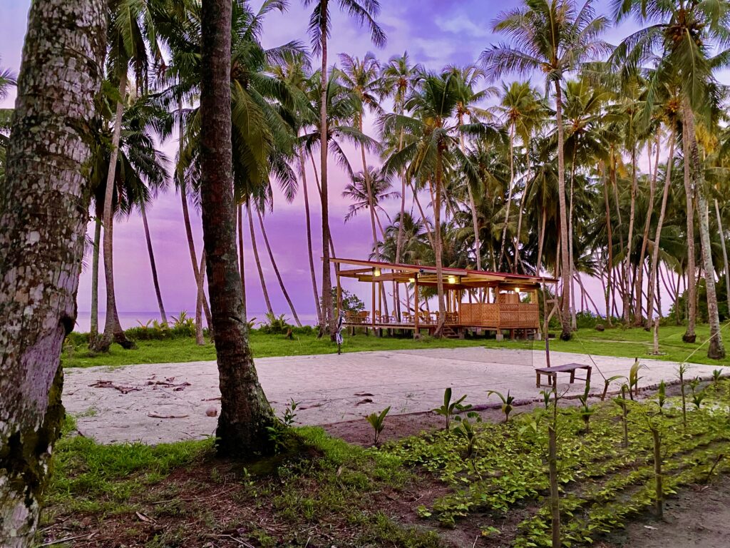 Pinang Island Tropical Paradise 5