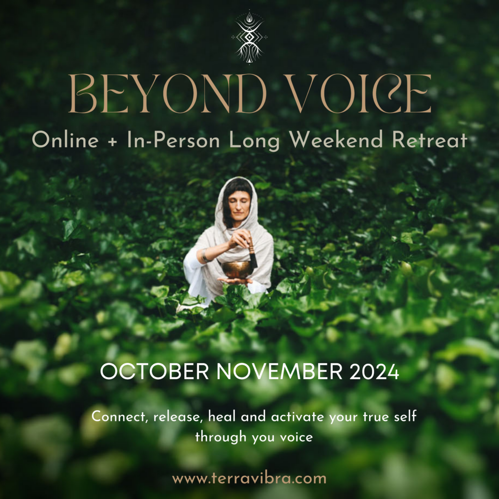 Beyond Voice