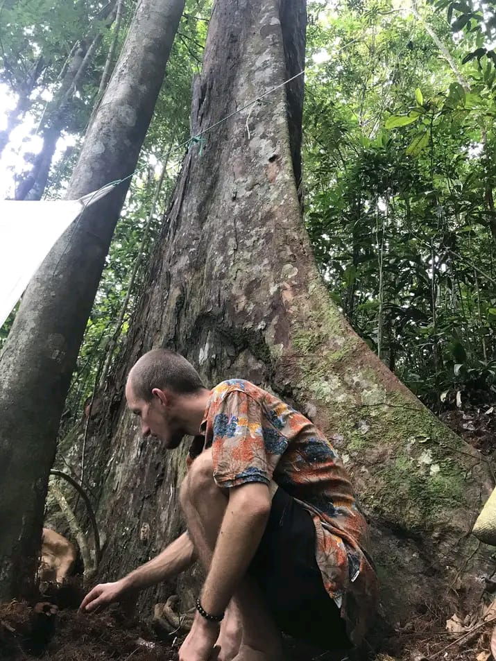 Whispers of the Jungle 7