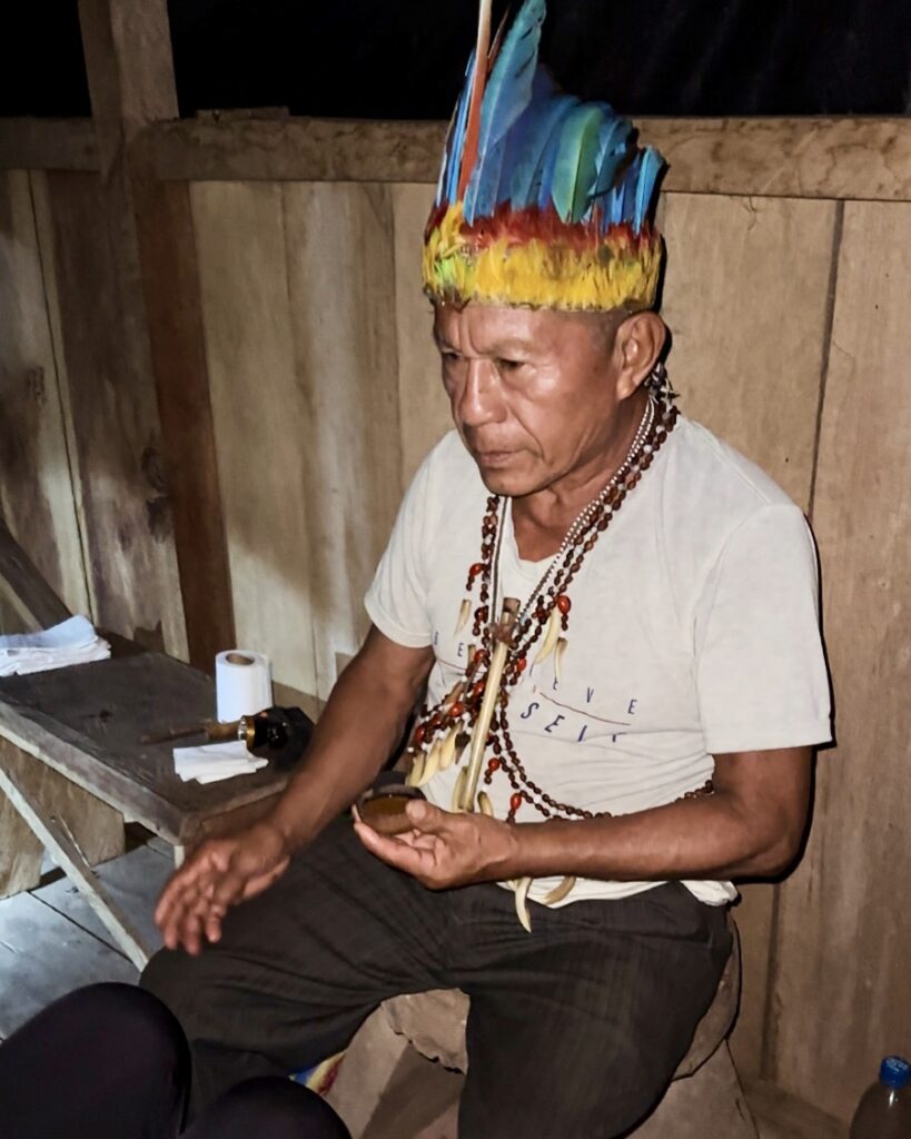 Amayas Ayahuasca 2