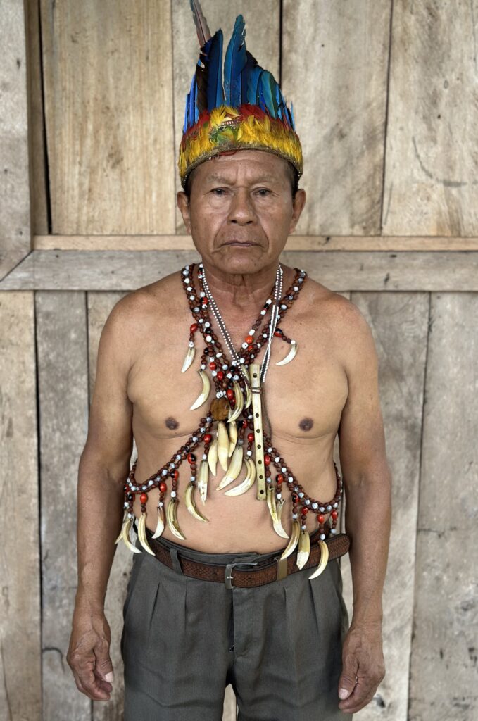 Amayas Ayahuasca
