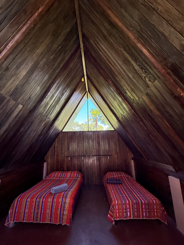 Amayas Ayahuasca 8