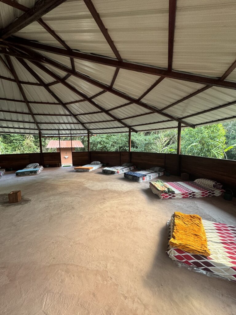 Amayas Ayahuasca 4