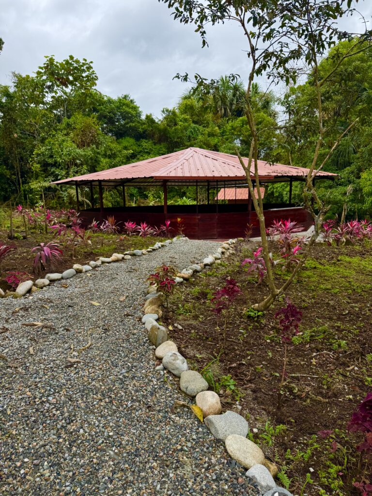 Amayas Ayahuasca 3