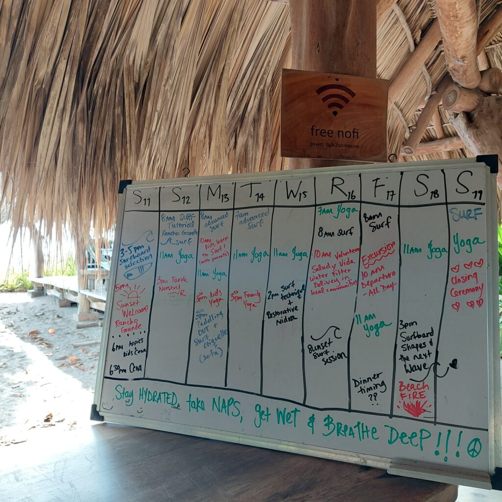 Feathers and Fur Surf + Yoga Experiences 7