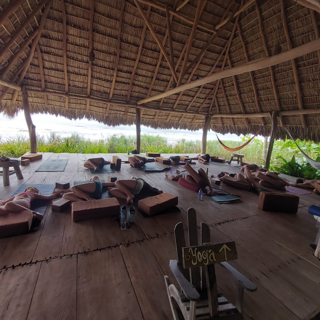Feathers and Fur Surf + Yoga Experiences