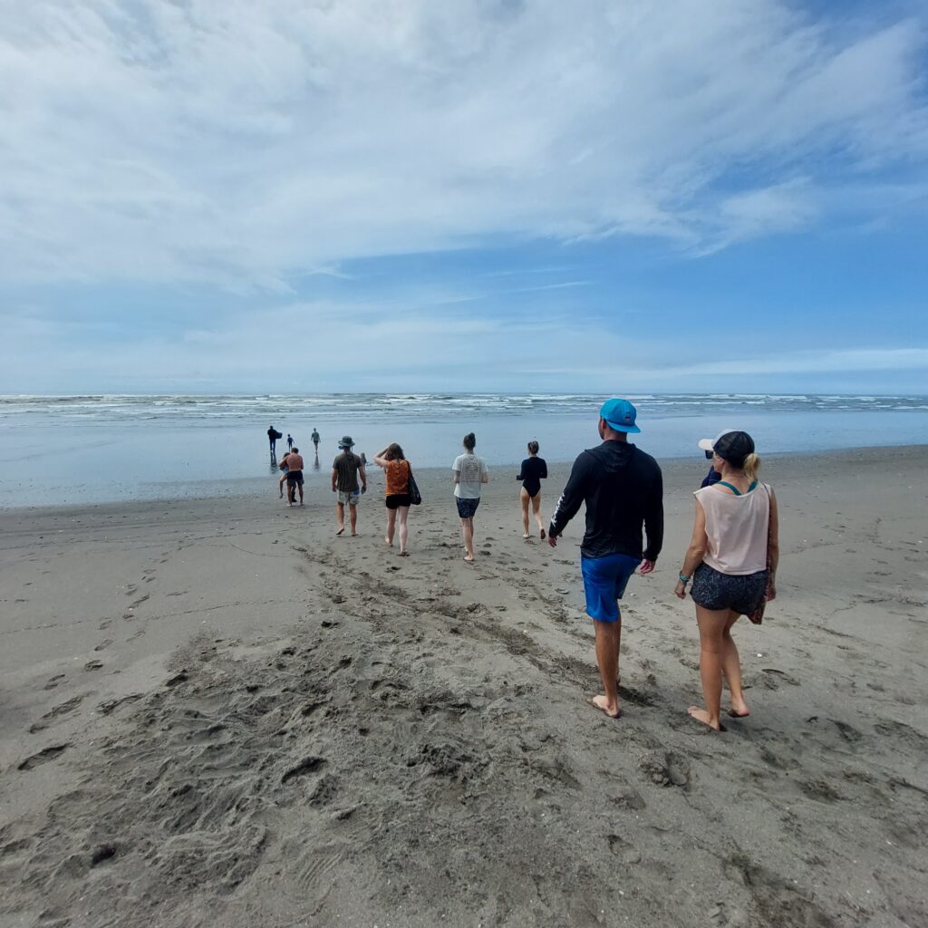 Feathers and Fur Surf + Yoga Experiences 5