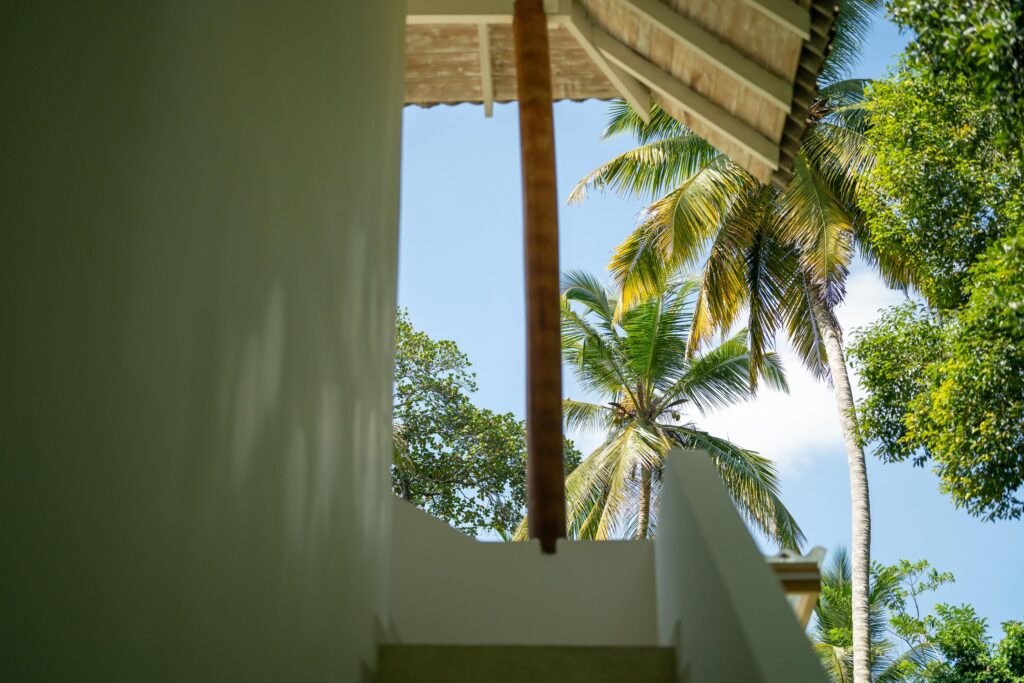 SOUL HOUSE 7