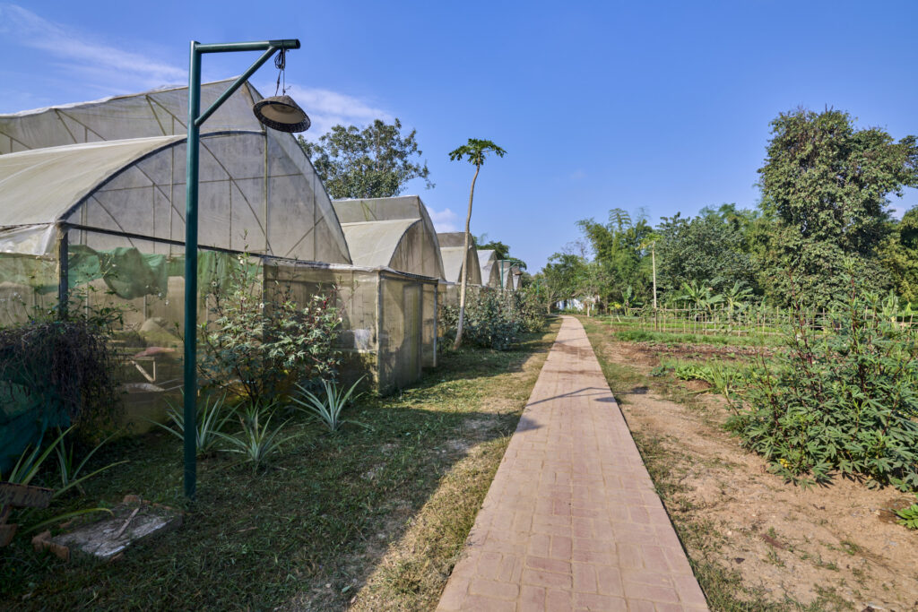 The Namkhan Resort 5