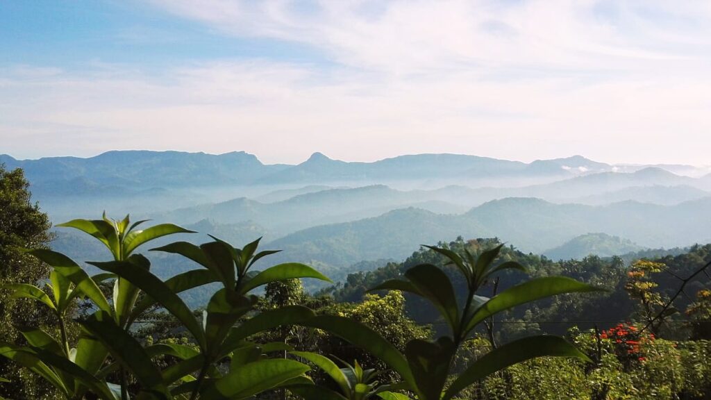 Yasmin Hill Sri Lanka 8