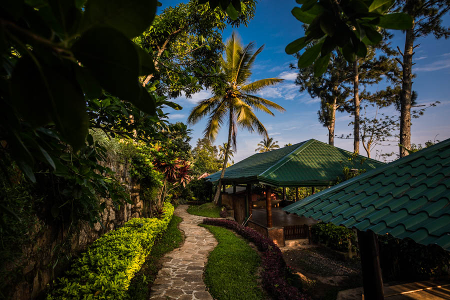Yasmin Hill Sri Lanka 7