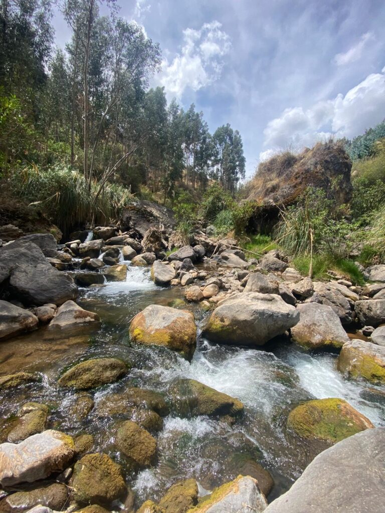 The Shamanic Path 5
