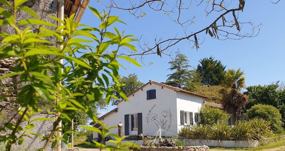 Simply Canvas Farm 6