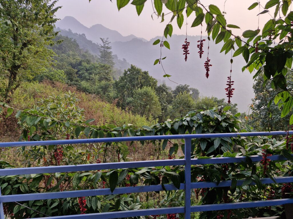 MY NEW LIFE YOGA RETREAT