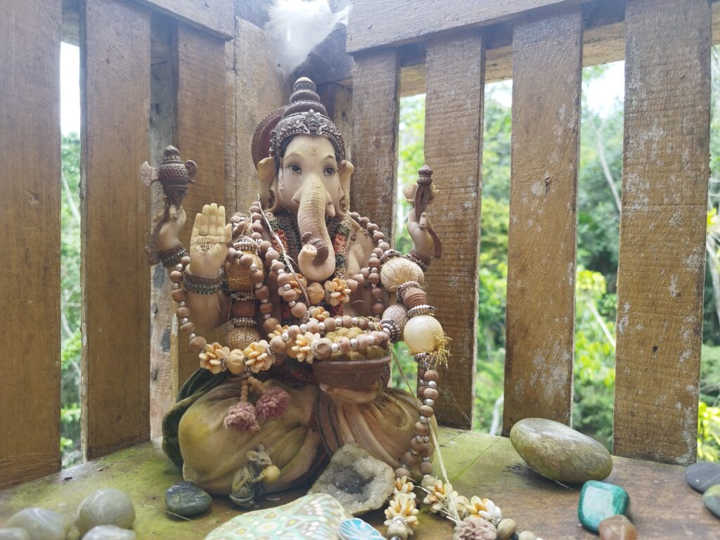 Samauma 3
