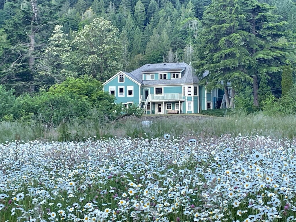 Salt Spring Centre 2