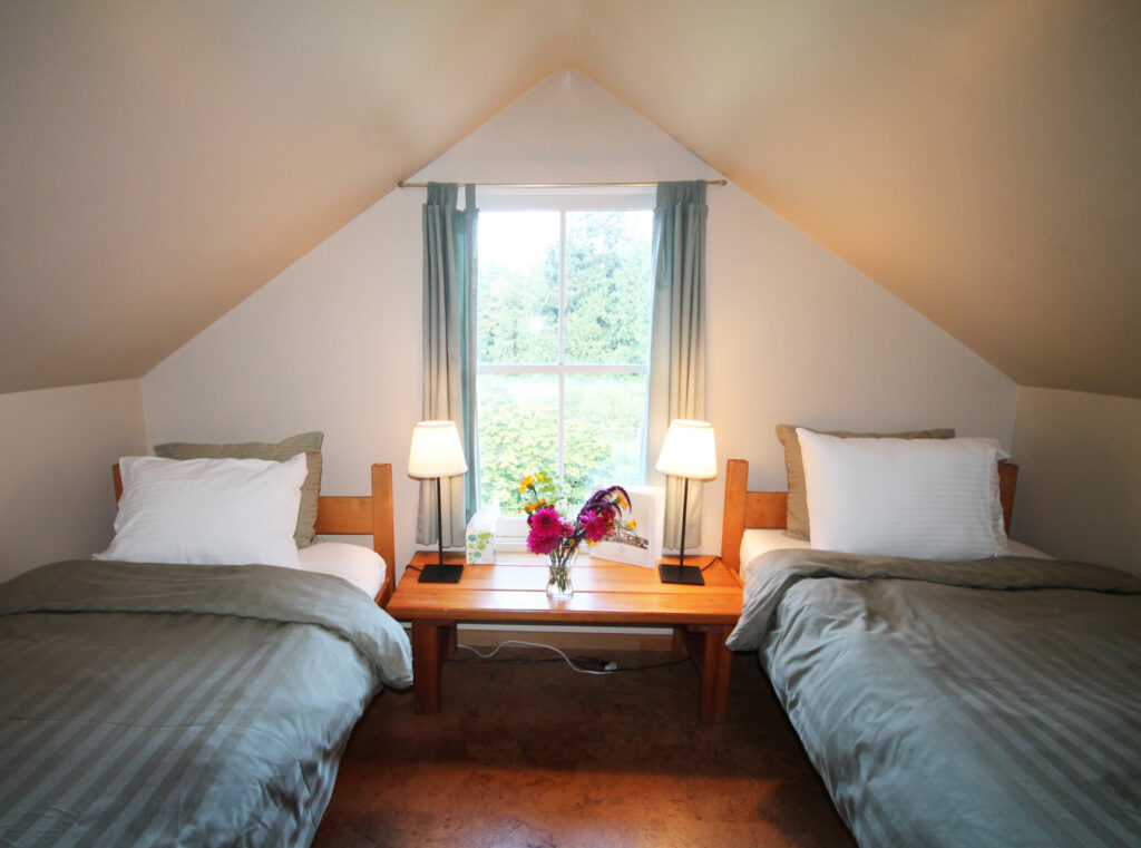Salt Spring Centre 4
