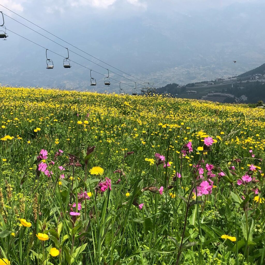 Aosta Valley Holistic Retreat 8