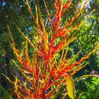 Kirpal Meditation and Ecological Center 8