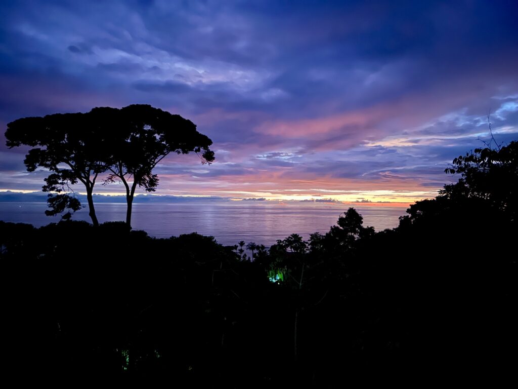 Primal Wellness Retreat