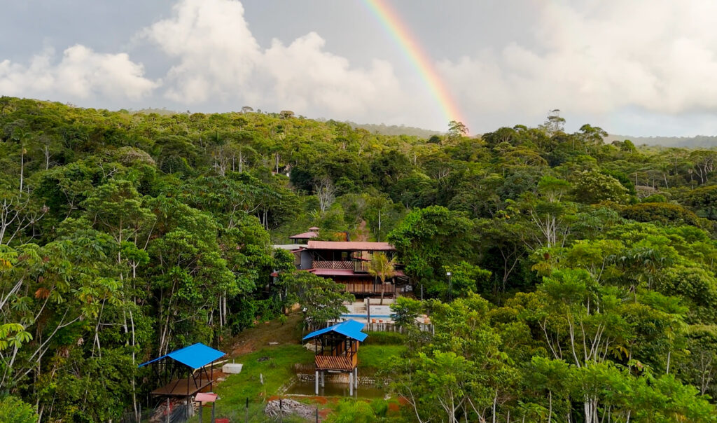 Cloud Forest Yagé