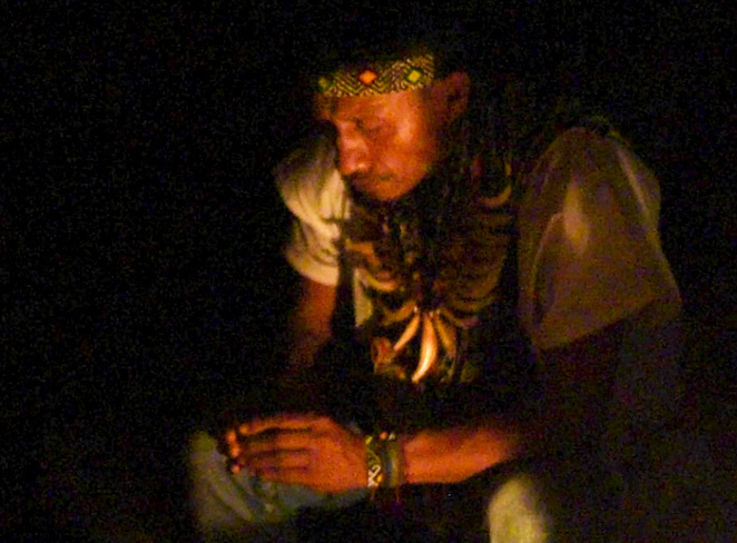 Cloud Forest Yagé 7