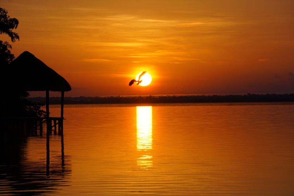 Mazaara Sacred Wellness 8