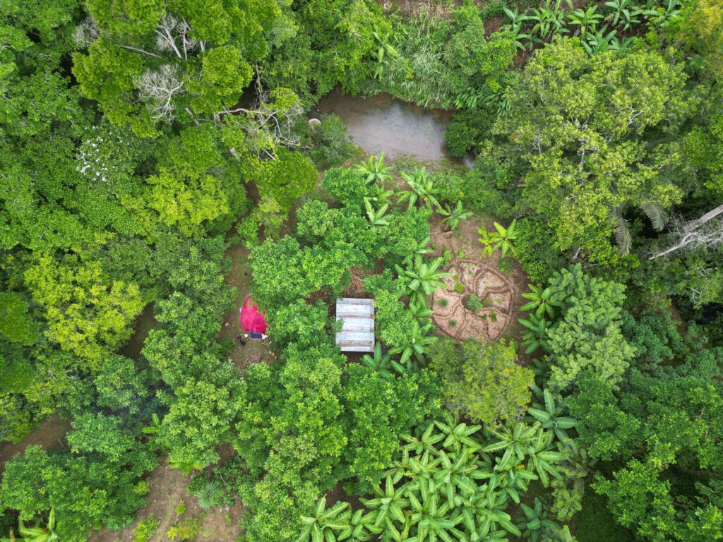Finca Corazon 3
